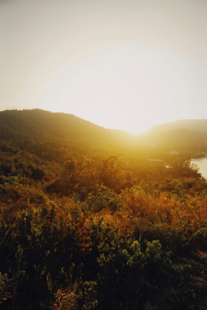 Golden sunrise illuminating lush green mountains and serene landscape.